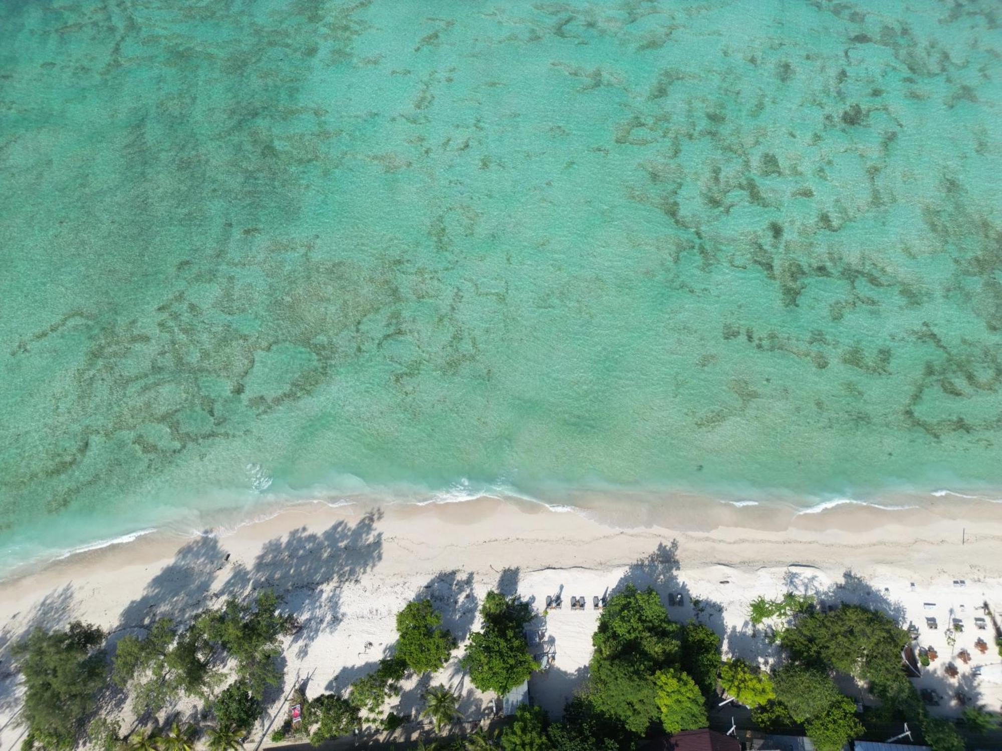 Mowies On The Beach Gili Islands Exterior photo